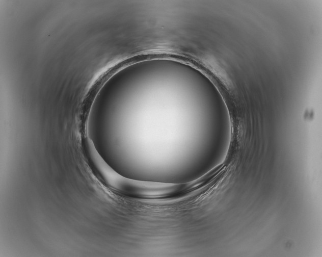 X0000091361356200708101411