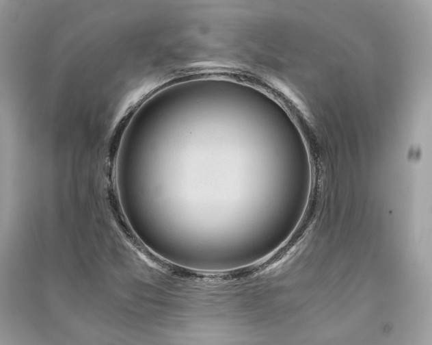 X0000091361357200708101411