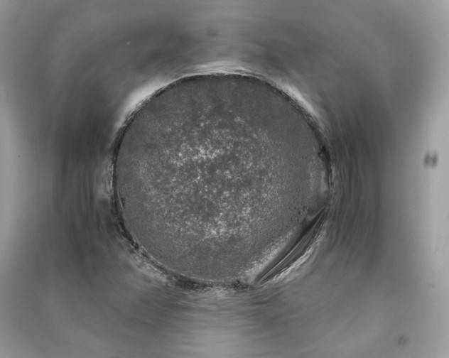 X0000091361358200708101411