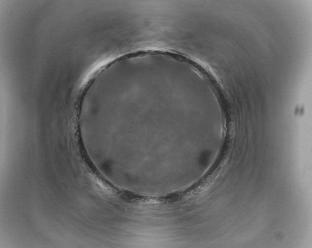 X0000091361359200708101411