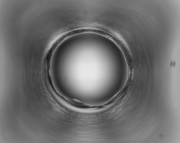X0000091361360200708101411