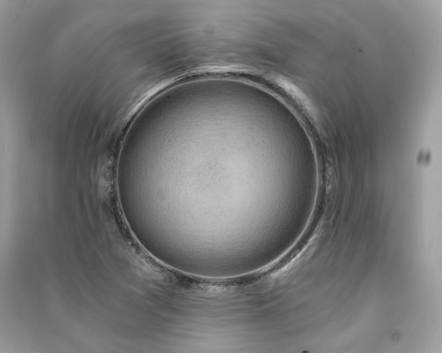 X0000091361361200708101411