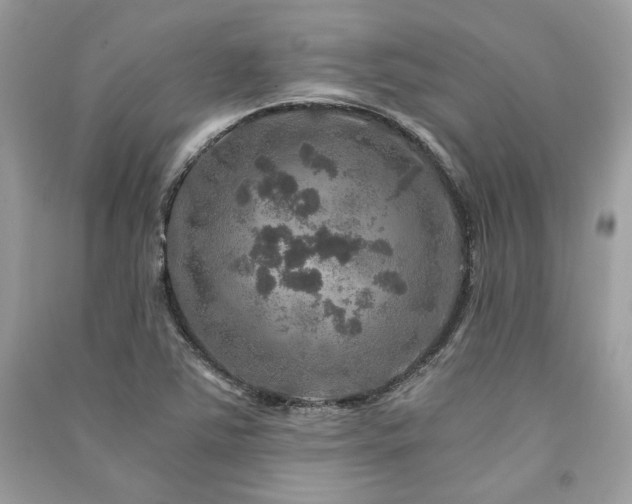 X0000091361363200708101411