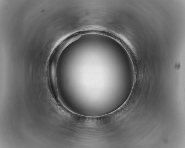 X0000091361364200708101411