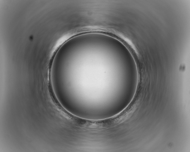 X0000091361365200708101411