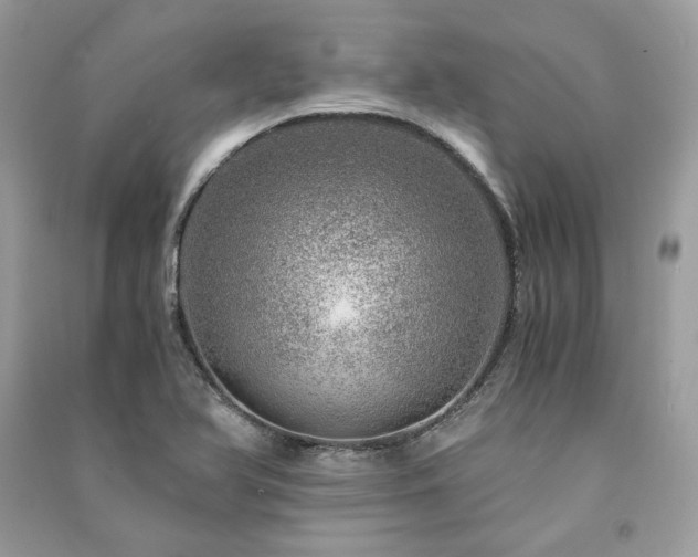 X0000091361366200708101411