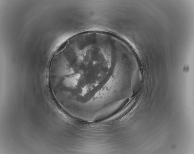 X0000091361367200708101411