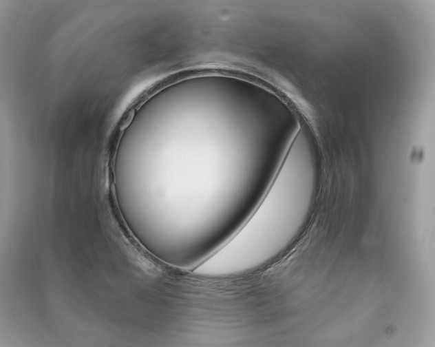 X0000091361368200708101411