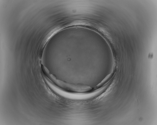 X0000091361369200708101411