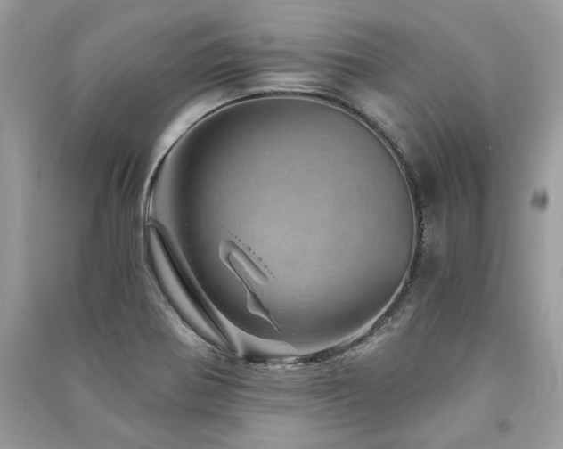 X0000091361370200708101411