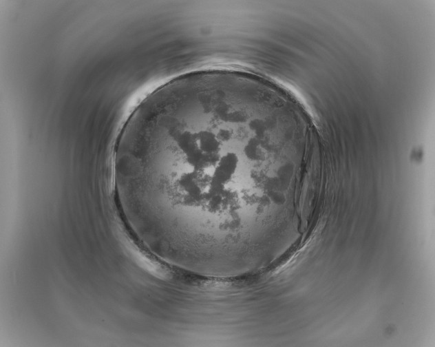 X0000091361371200708101411