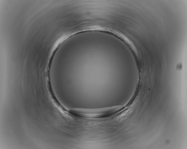 X0000091361373200708101411