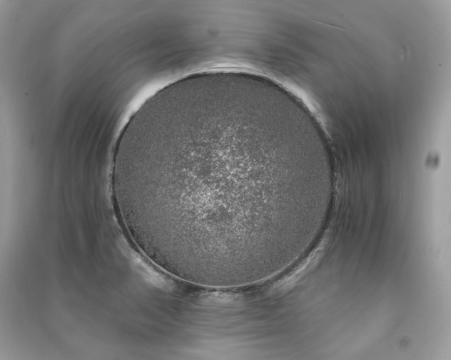 X0000091361374200708101411