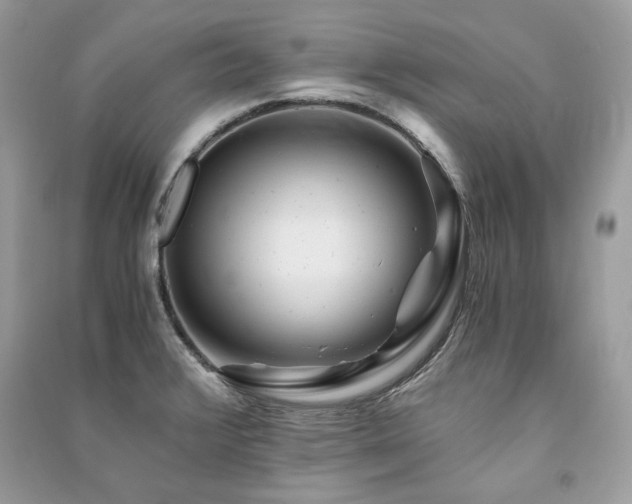 X0000091361376200708101411
