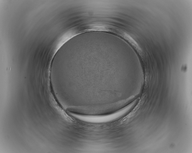 X0000091361378200708101410