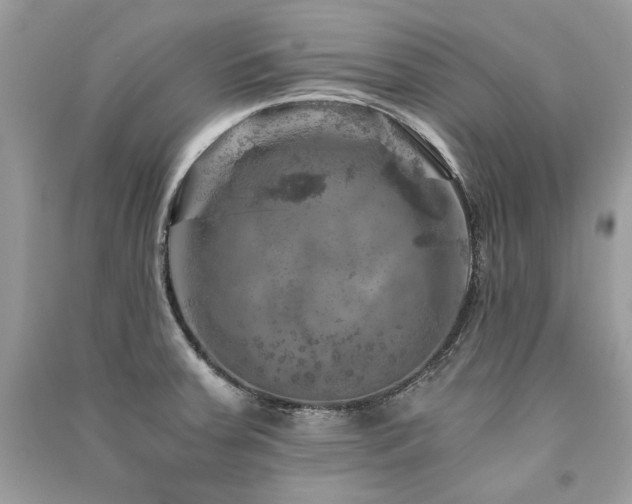 X0000091361379200708101410