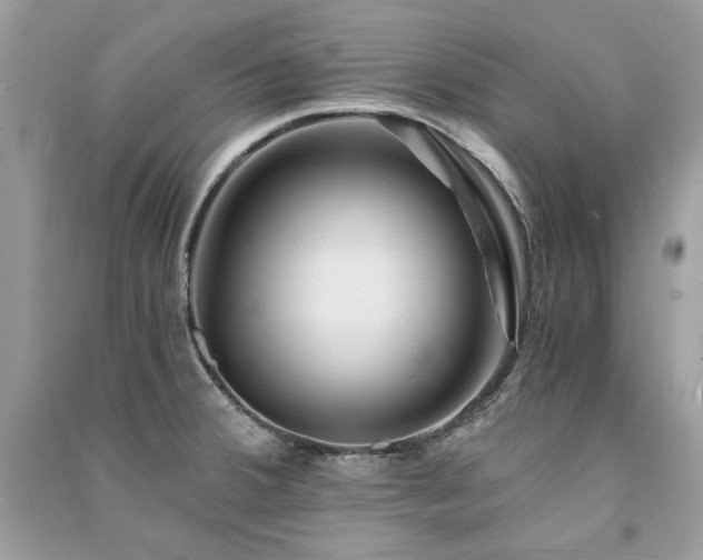 X0000091361380200708101410
