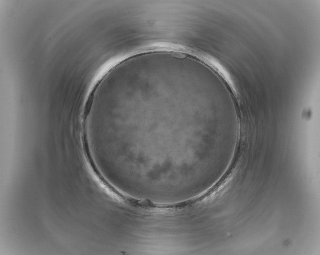 X0000091361381200708101410