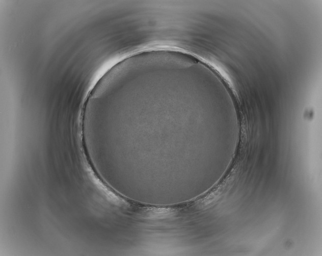 X0000091361382200708101410