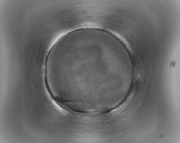 X0000091361383200708101410