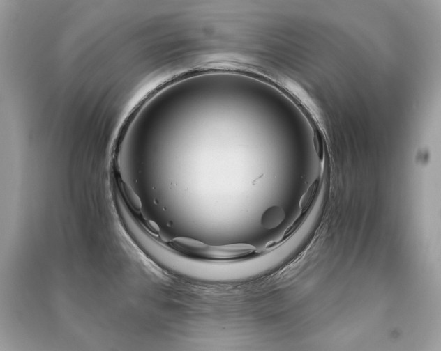 X0000091361384200708101410