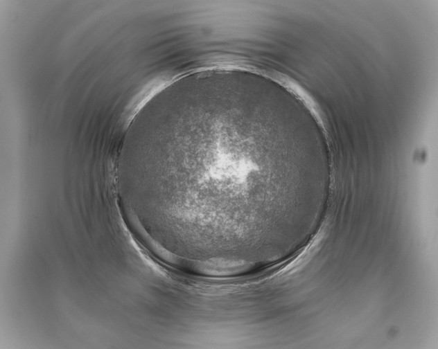 X0000091361385200708101410