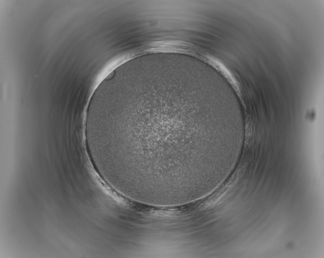 X0000091361386200708101410