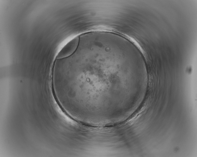 X0000091361387200708101410