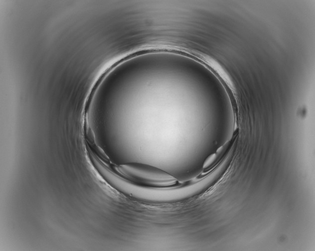 X0000091361388200708101410