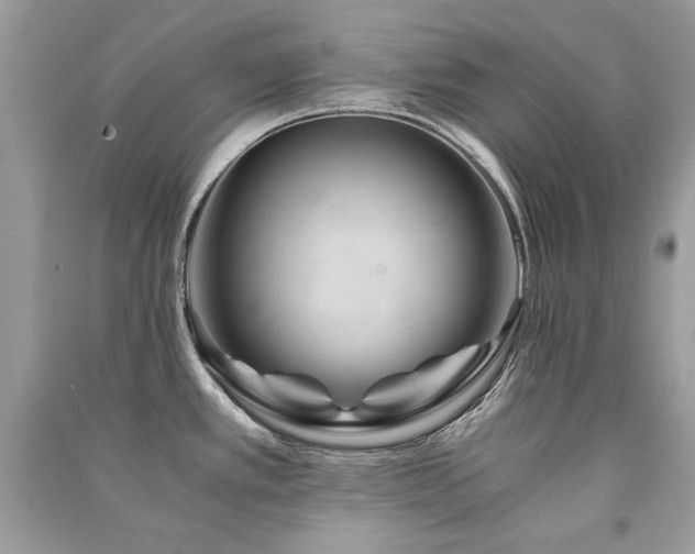 X0000091361389200708101410