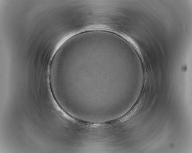 X0000091361390200708101410