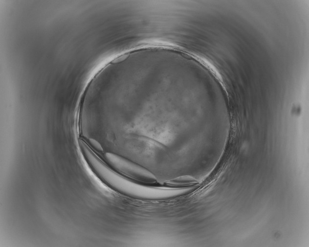 X0000091361391200708101410