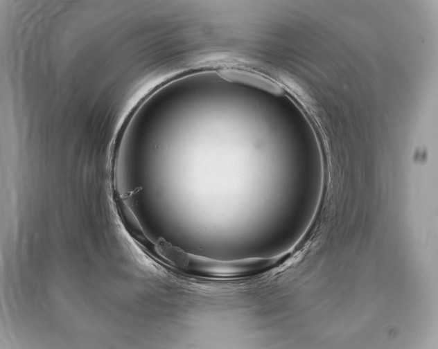 X0000091361392200708101410