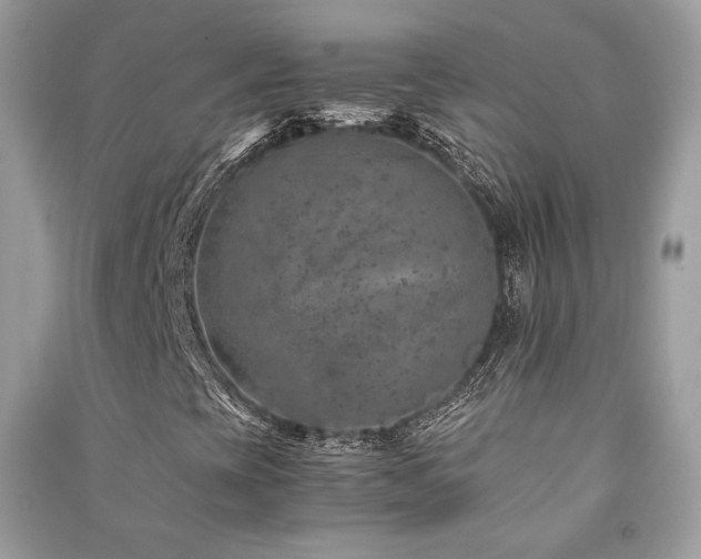 X0000091361393200708101410