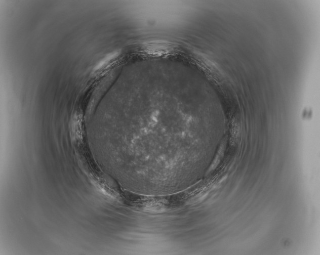 X0000091361394200708101410
