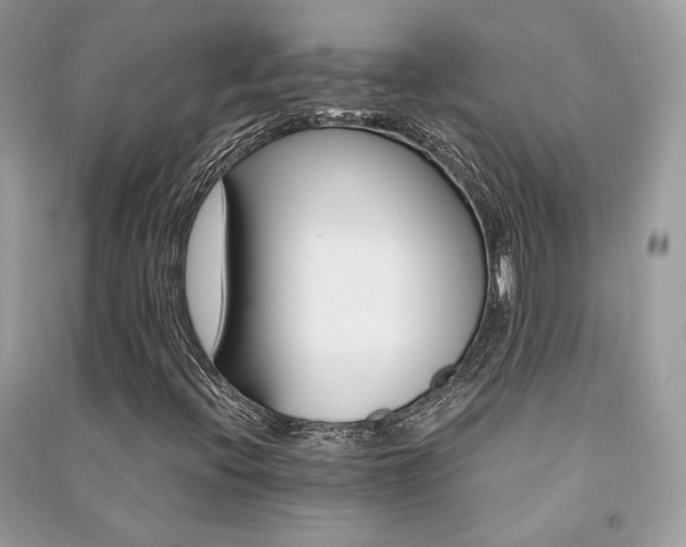 X0000091361396200708101410