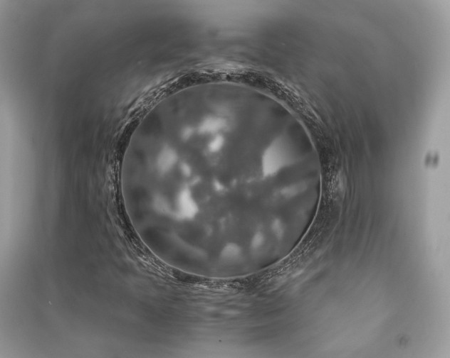 X0000091361397200708101410