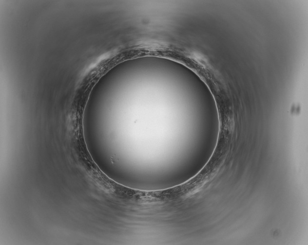 X0000091361398200708101410
