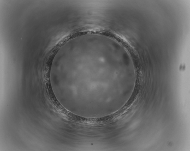 X0000091361399200708101410