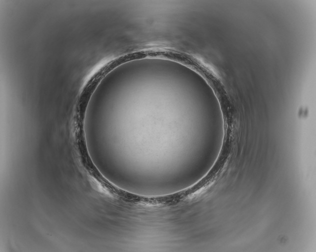 X0000091361400200708101410