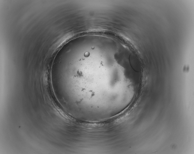 X0000091361401200708101410