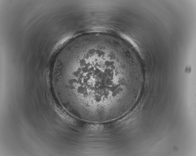 X0000091361403200708101410
