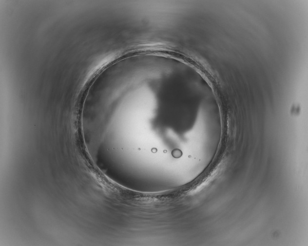 X0000091361405200708101410