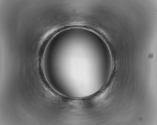 X0000091361406200708101410