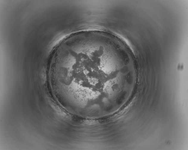 X0000091361407200708101410