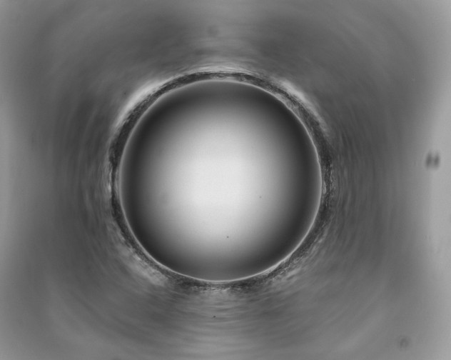 X0000091361408200708101410