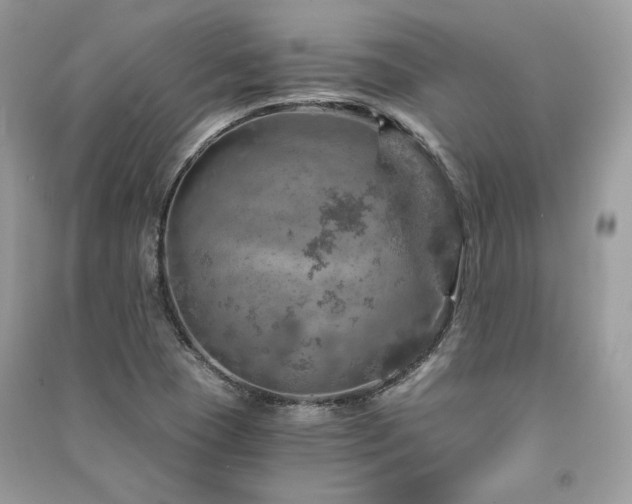 X0000091361409200708101410