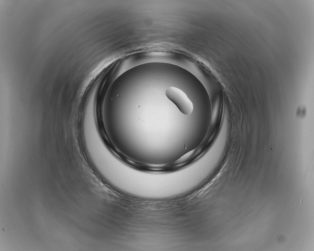 X0000091361410200708101410