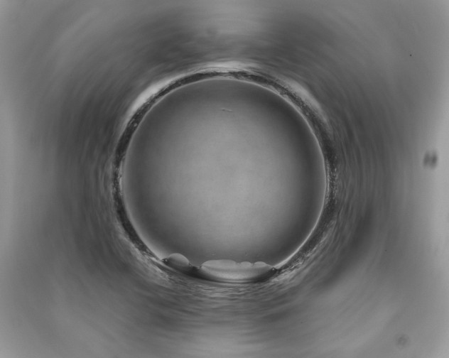 X0000091361412200708101410