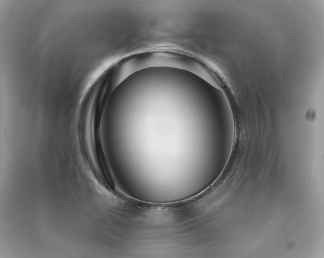 X0000091361414200708101410